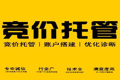 揭秘SEM竞价托管，案例展示效果